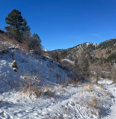 My Space 4 jamie brennan therapy boulder colorado location5 My Space