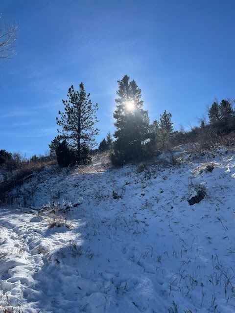 My Space 1 Jamie Brennan Therapy – mindfulness-based therapy environment in Boulder, CO